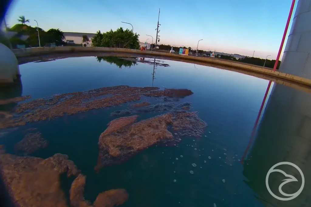 Internal condition of water storage tank under preventive maintenance