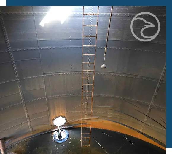 ROV or drone inspection