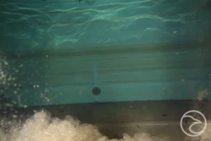 how underwater ROV tank inspections work