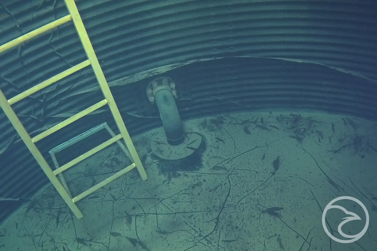ROV underwater tank inspections